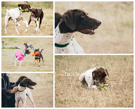 texas gsp rescue|More.